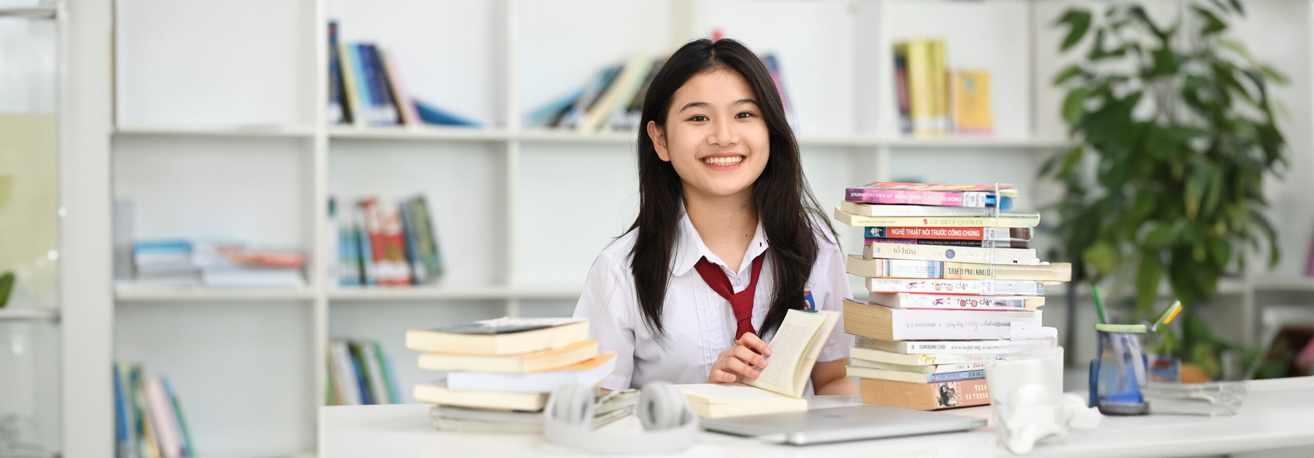 Trường Việt Anh